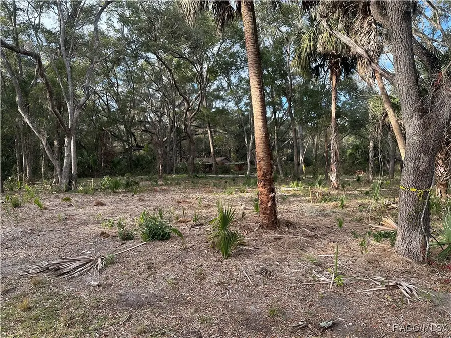 8125 Catrina Lane, Crystal River, FL 34429 - Image #3