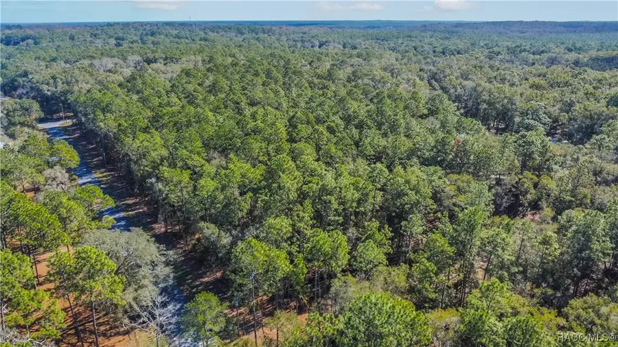 3418 E Shands Court, Inverness, FL 34452 - Image #3