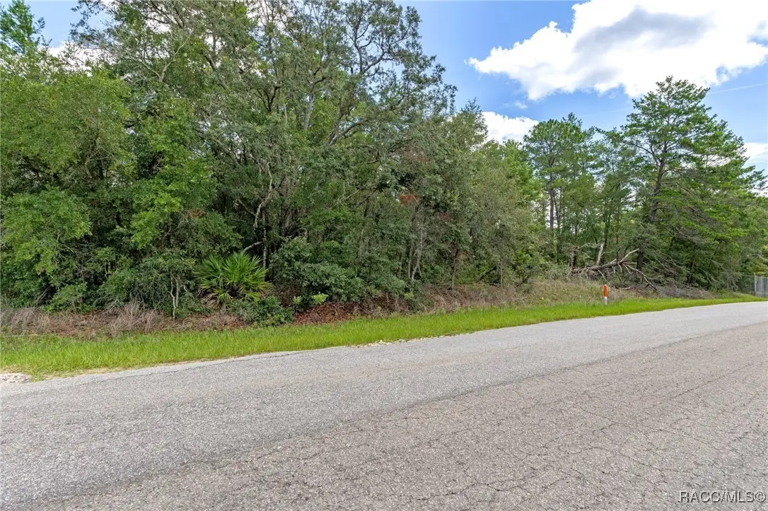 710 E Overdrive Lot 16 Circle, Hernando, FL 34442 - Image #1