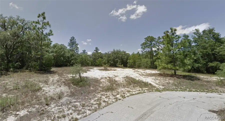 9154 N Dory Point, Citrus Springs, FL 34433 - Image #3