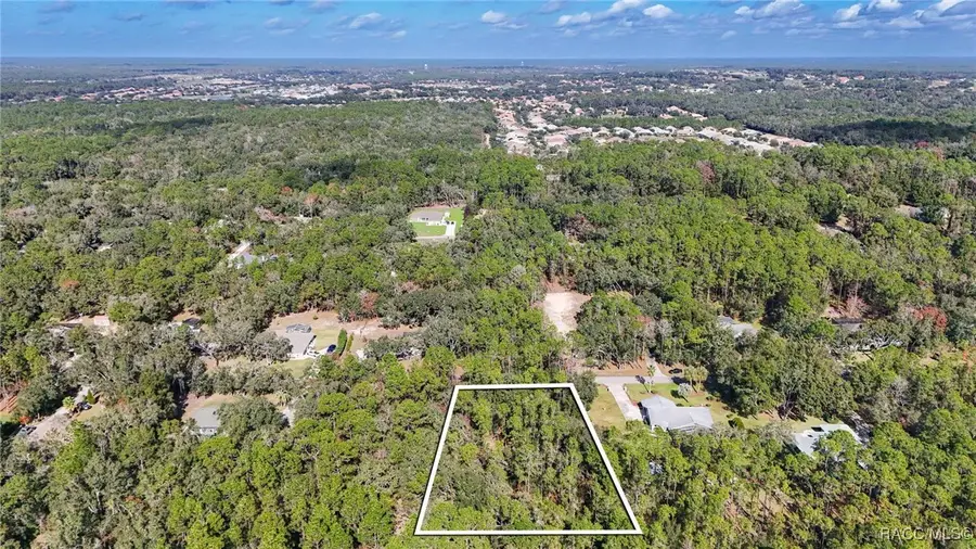 1242 W Redding Street, Citrus Hills, FL 34453 - Image #3