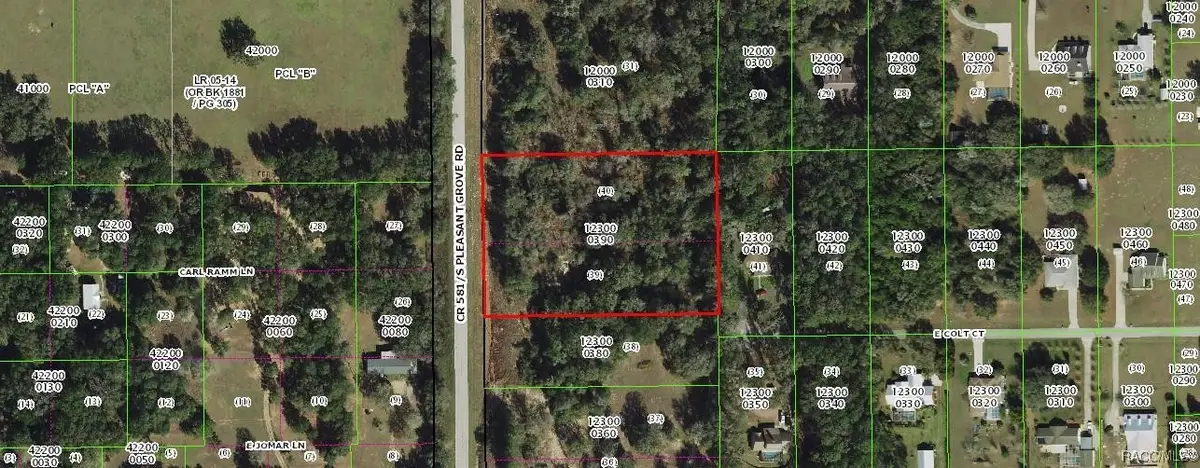 8907 S Pleasant Grove Road, Inverness, FL 34452 - Image #1