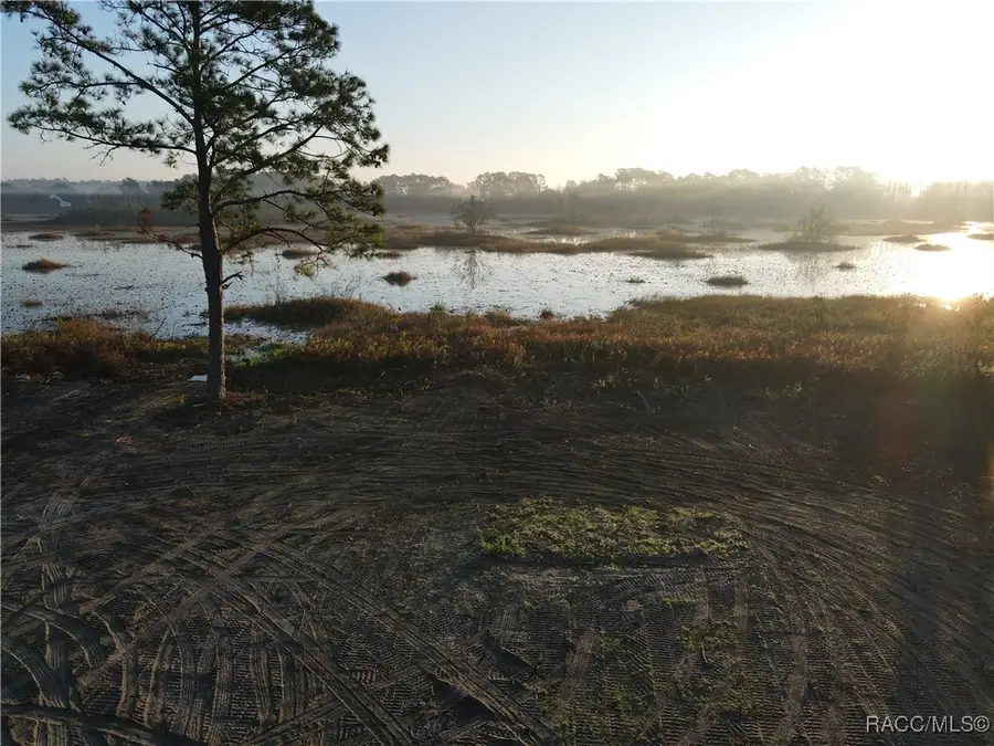 11821 SE 123rd Avenue, Ocklawaha, FL 32179 - Image #2