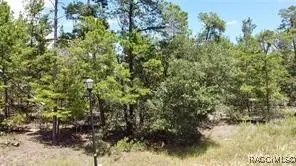 1 Crossandra Court E, Homosassa, FL 34446 - #2