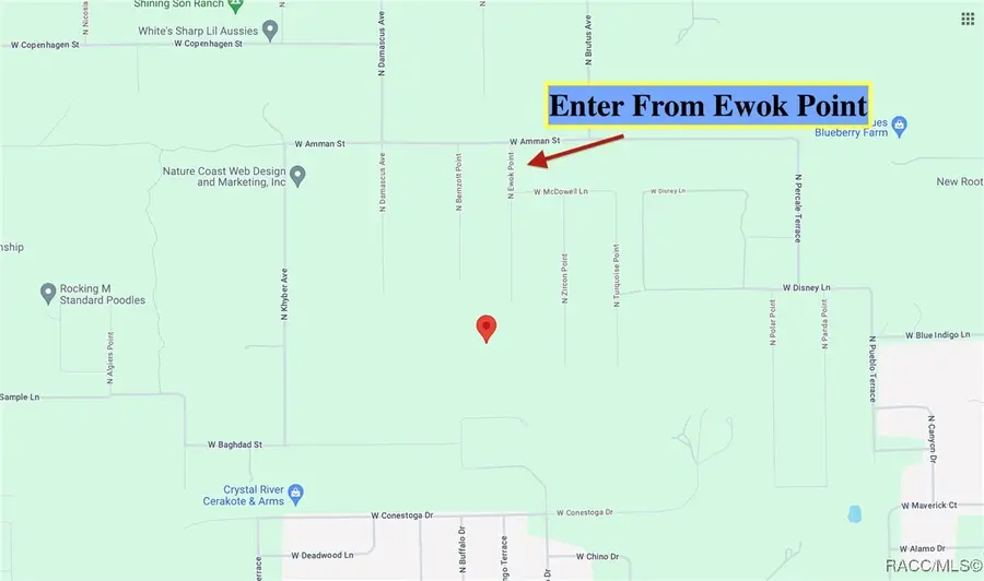 6496 N Bernzott Point, Dunnellon, FL 34433 - Image #3