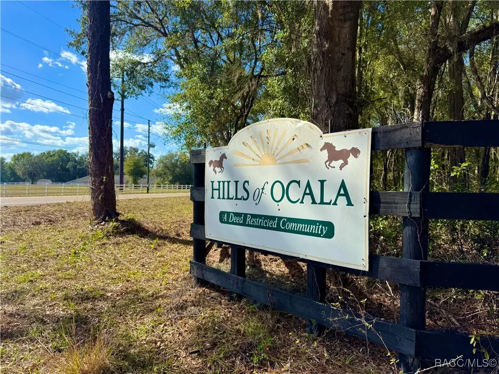 TBD SW 89th Street, Dunnellon, FL 34432 - Image #1