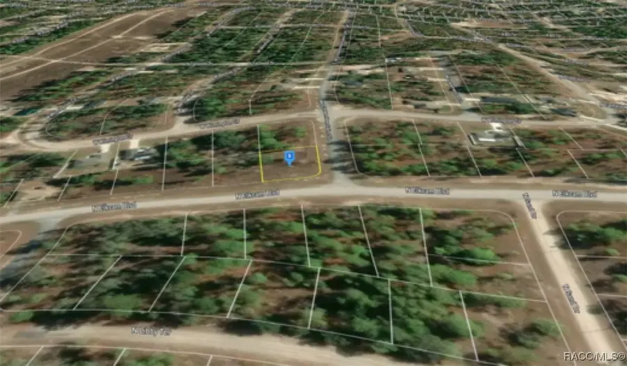 2595 W Chamberlain Street, Dunnellon, FL 34434 - Image #2