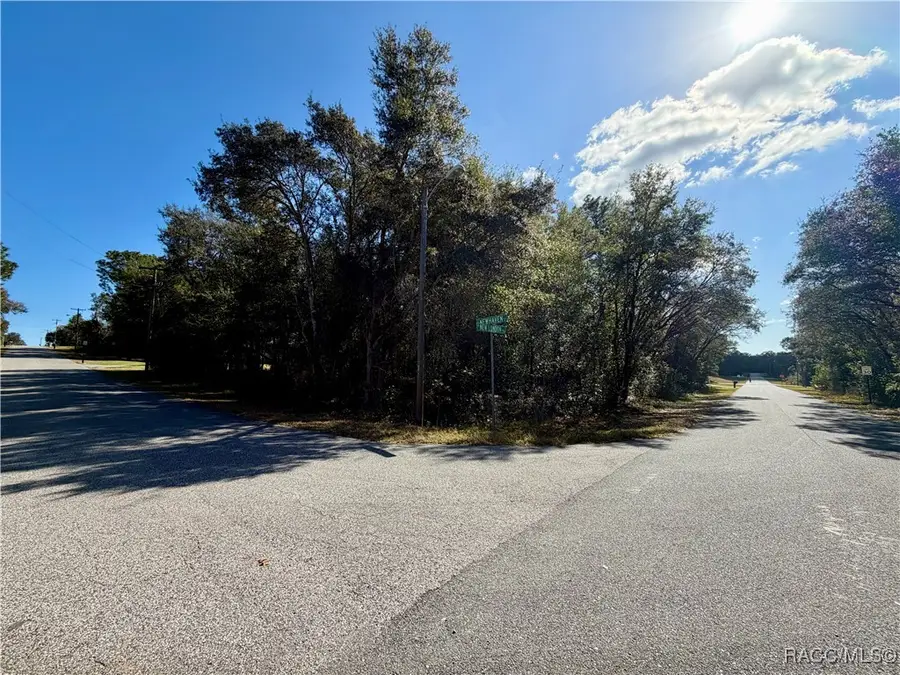 1998 E Newhaven Street, Inverness, FL 34453 - Image #3