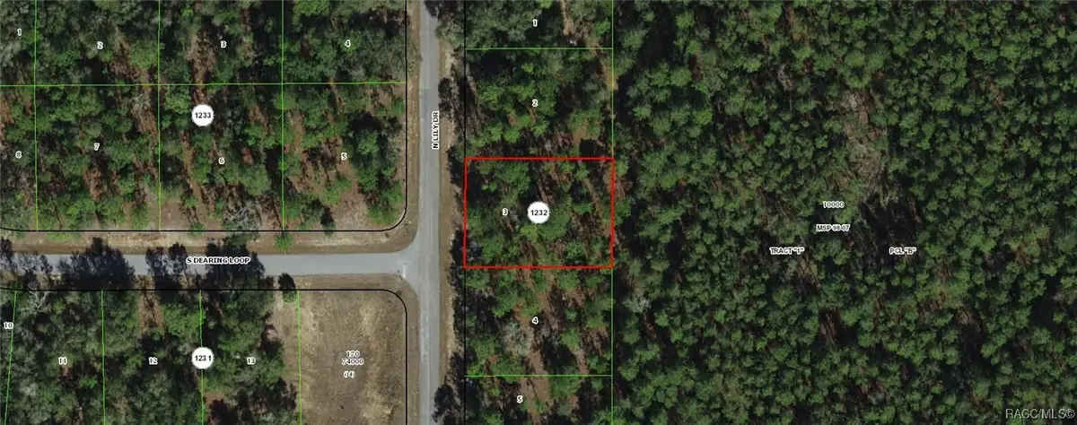 9651 N Lily Drive, Dunnellon, FL 34434 - Image #1