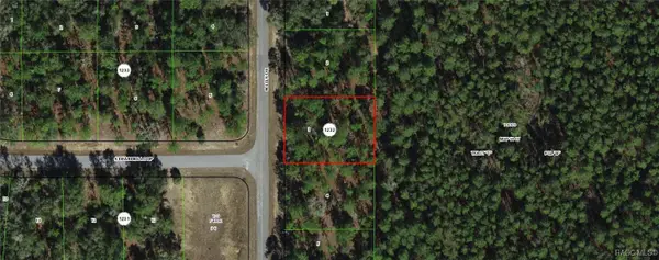 9651 N Lily Drive, Dunnellon, FL 34434