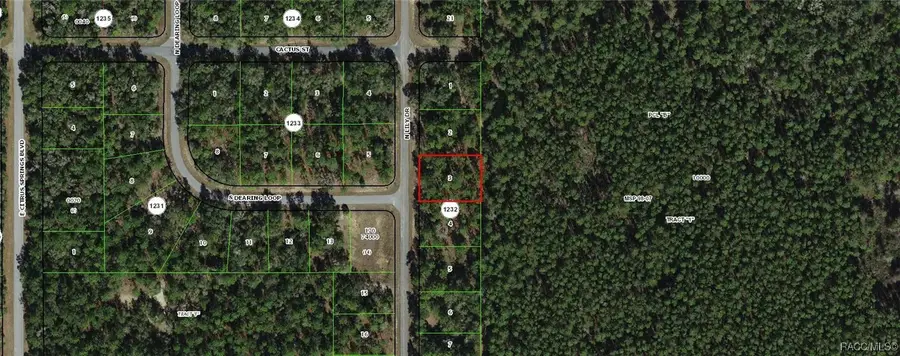 9651 N Lily Drive, Dunnellon, FL 34434 - Image #2