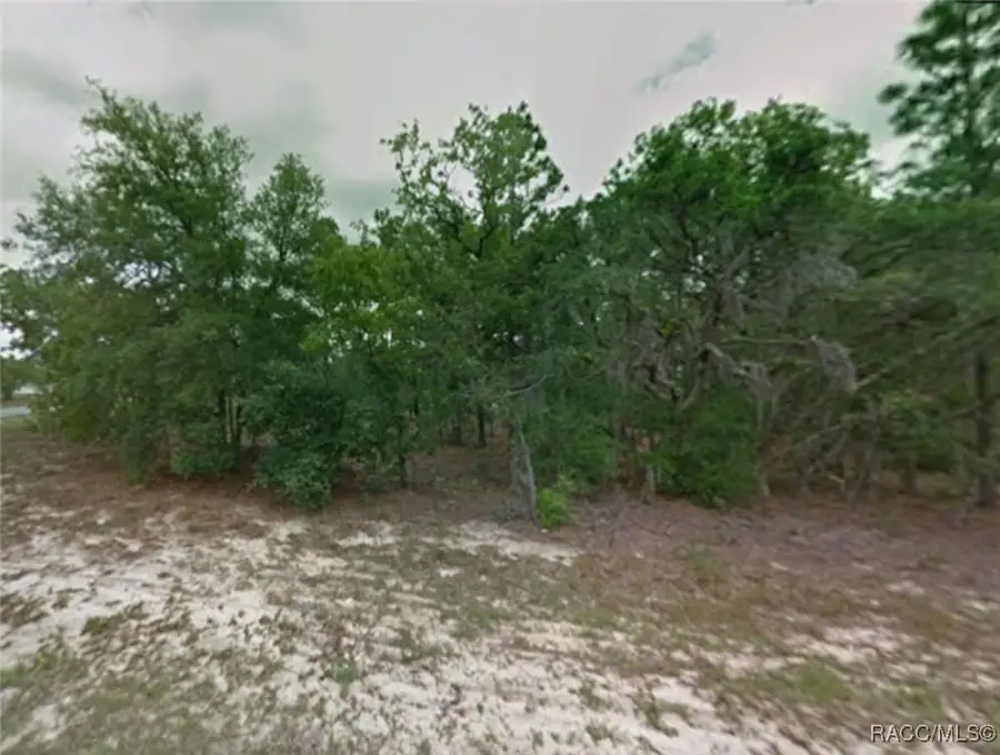 1263 W Fan Drive, Citrus Springs, FL 34434 - Image #3