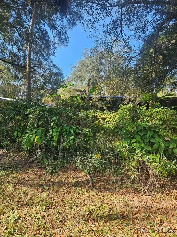 1756 N Paul Drive, Inverness, FL 34453 - Image #3