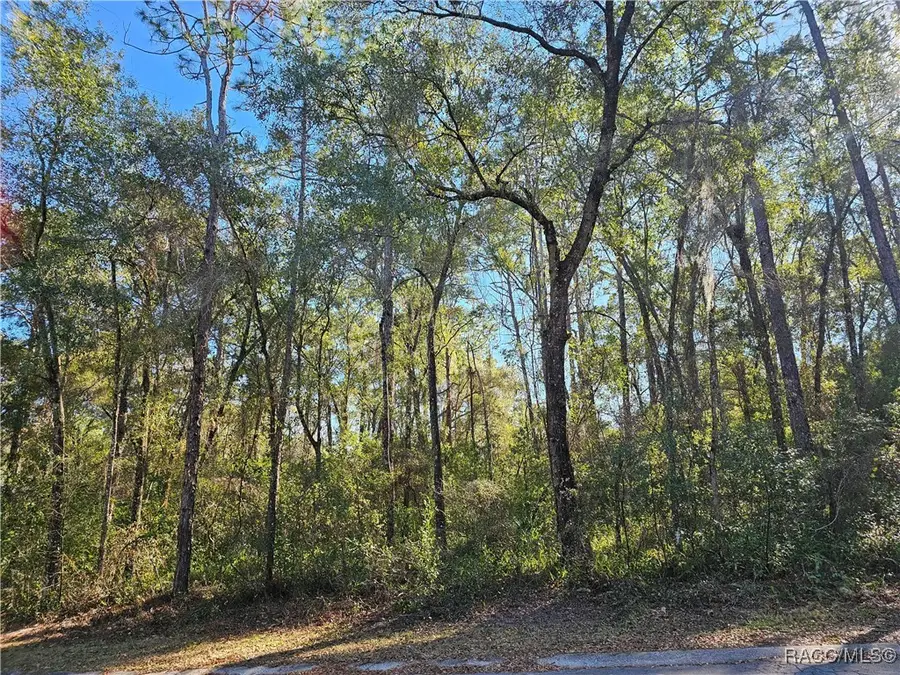 6342 E Glover Street, Inverness, FL 34452 - Image #2