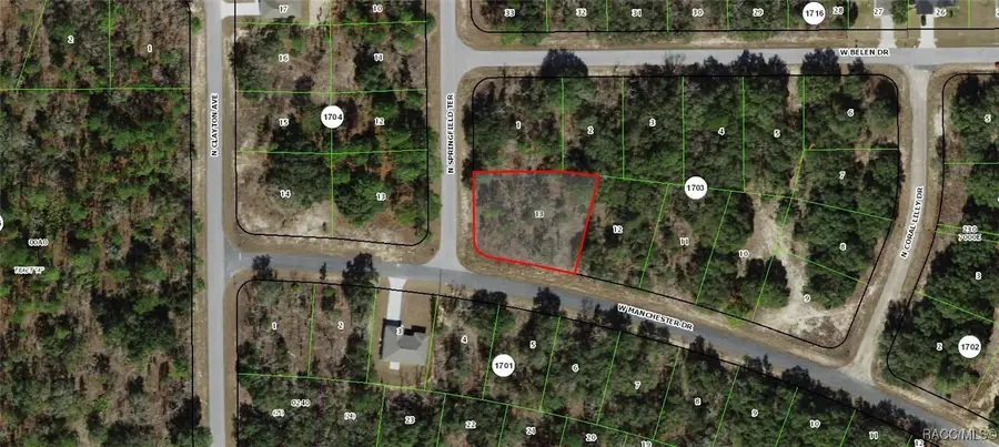 6681 W Manchester Drive, Dunnellon, FL 34434 - Image #3
