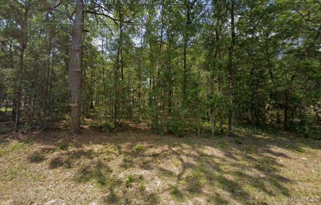 4823 E Bow N Arrow Loop, Inverness, FL 34452 - Image #1