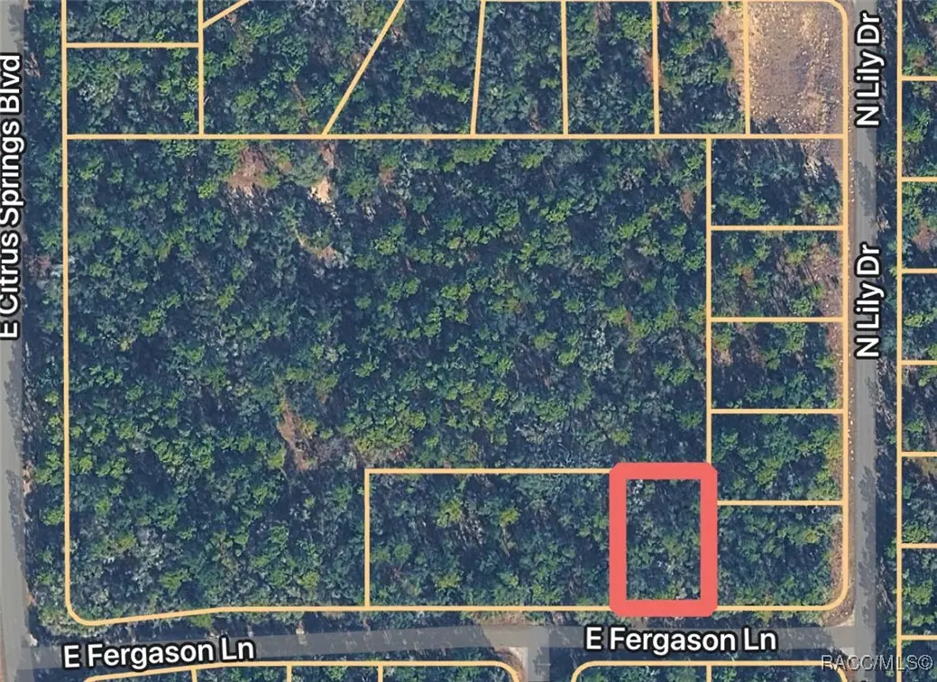 1409 E Fergason Lane, Citrus Springs, FL 34434 - Image #1
