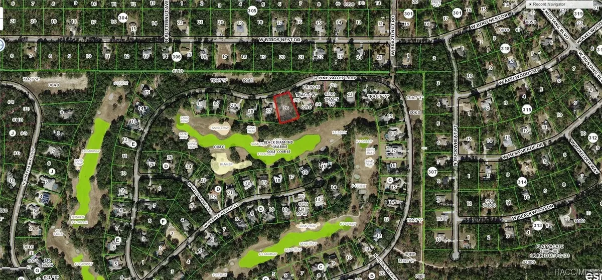 4152 N Pine Valley Loop, Lecanto, FL 34461 - Image #1