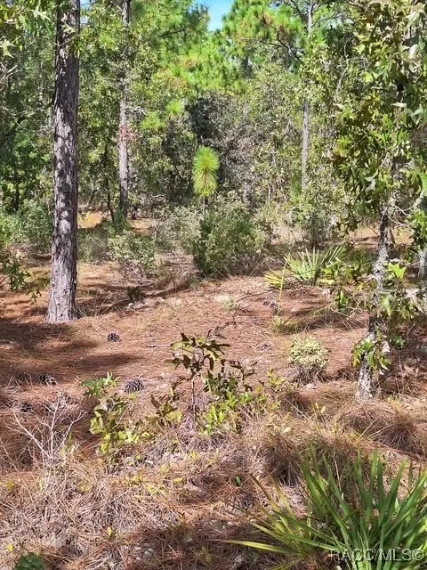 4138 W Dorchester Circle, Dunnellon, FL 34434 - Image #2