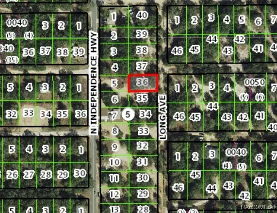 1011 Long Avenue, Inverness, FL 34453 - Image #3