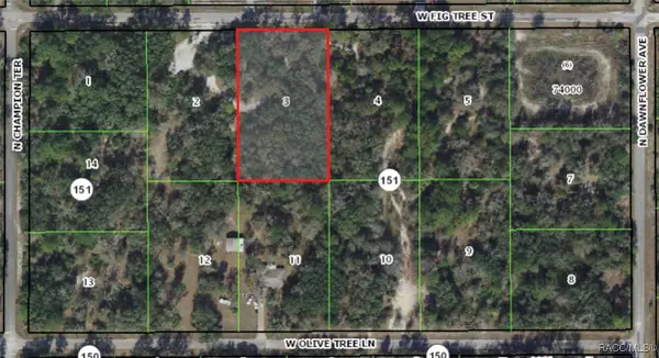 11950 W Fig Tree Lane, Crystal River, FL 34428