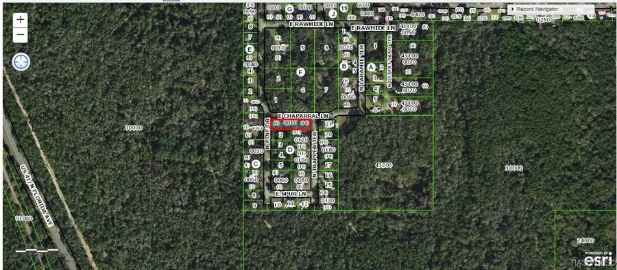 4311 N Pine Drive, Hernando, FL 34442 - Image #2