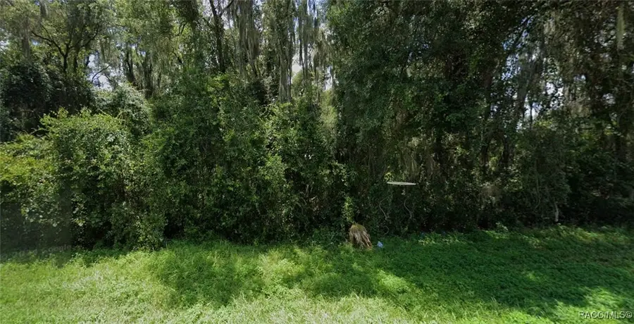 5556 N Florida Avenue, Hernando, FL 34442 - Image #2