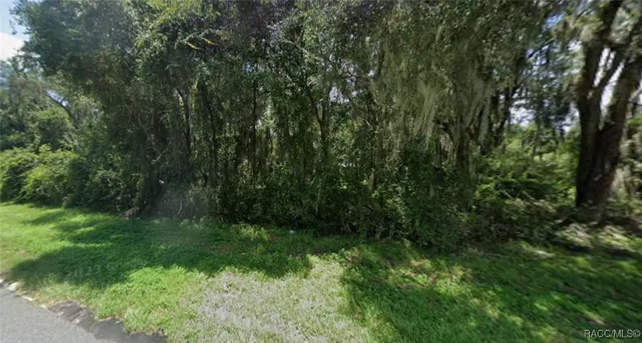 5556 N Florida Avenue, Hernando, FL 34442 - Image #3