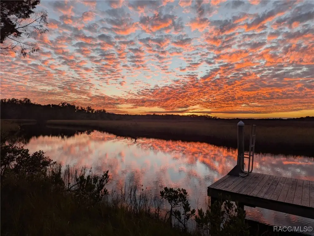 5872 S Shadytree Path, Homosassa, FL 34448 - Image #1