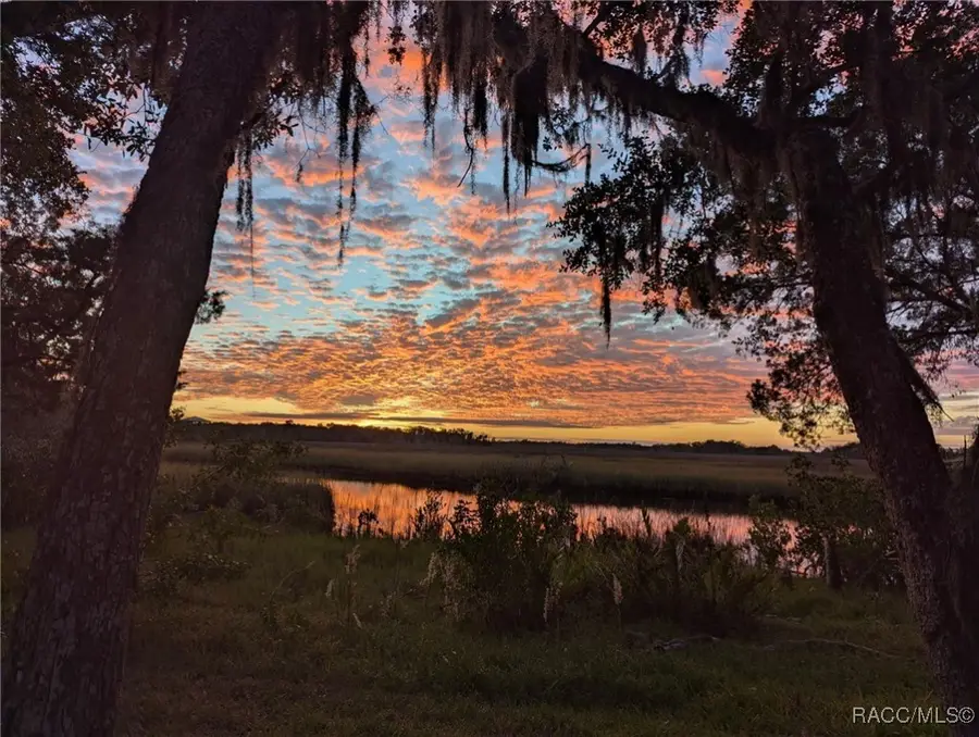 5872 S Shadytree Path, Homosassa, FL 34448 - Image #3