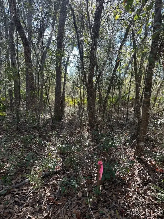 11716 W Caladium Street, Crystal River, FL 34428 - Image #1