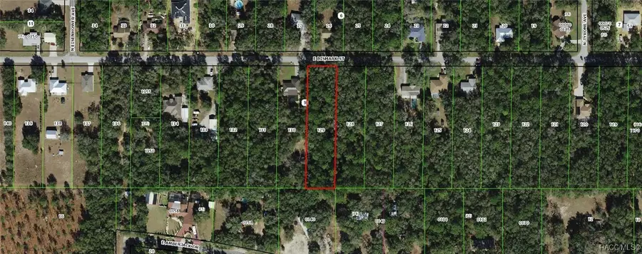 1142 E Bismark Street, Hernando, FL 34442 - Image #2