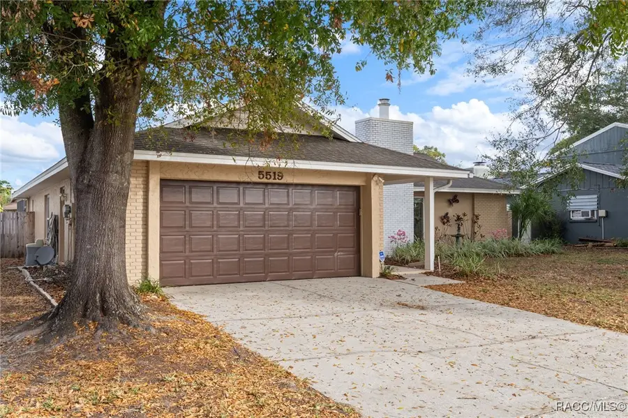 5519 Fulmar Drive, Tampa, FL 33625 - #2