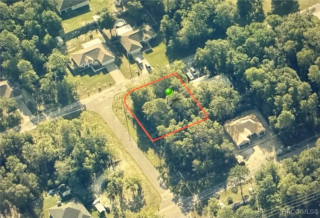 9540 N Pineview Way, Citrus Springs, FL 34434 - #1