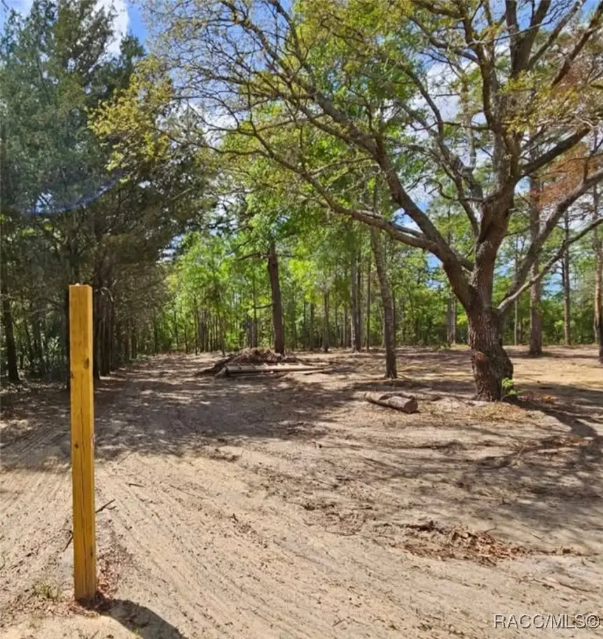 0 Cormorant Road, Weeki Wachee, FL 34614 - #3
