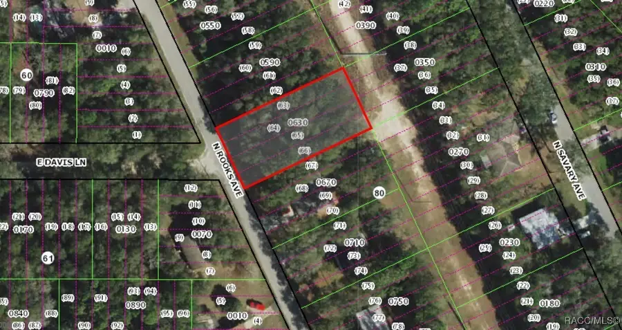 315 N Rooks Avenue, Inverness, FL 34453 - Image #3
