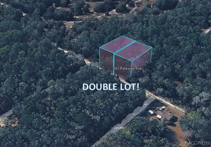 903 Parkview Avenue, Inverness, FL 34453 - Image #1