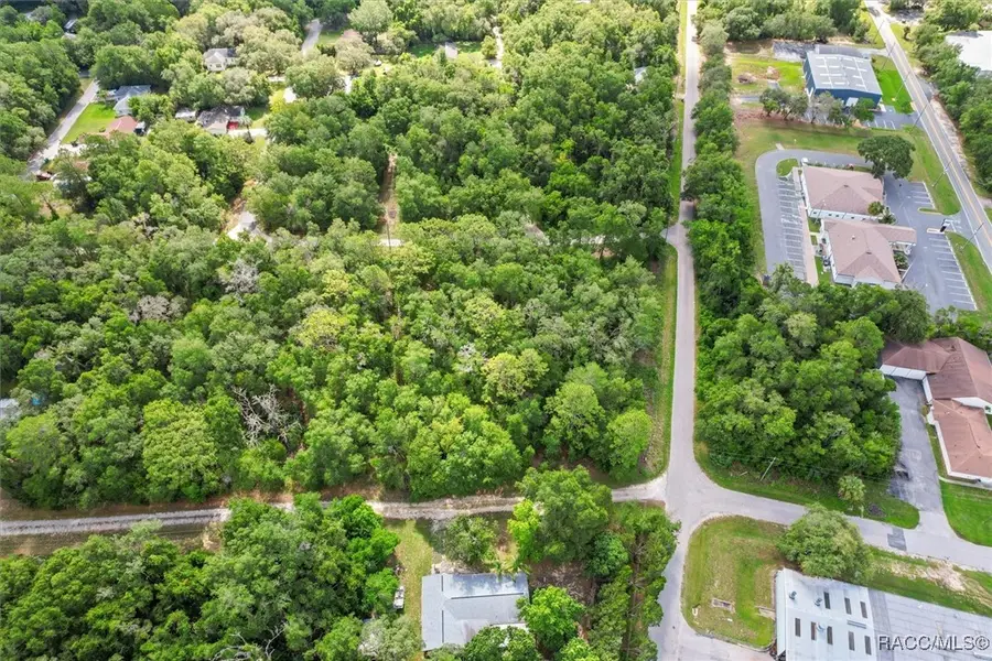 751 S Norma Avenue, Inverness, FL 34453 - Image #2