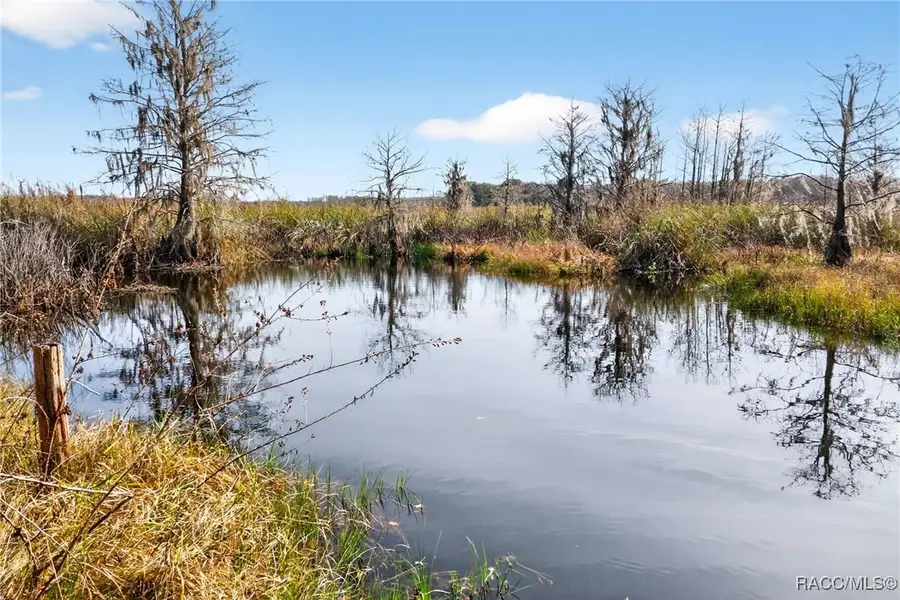 8989 S Great Oaks Drive, Floral City, FL 34436 - #3