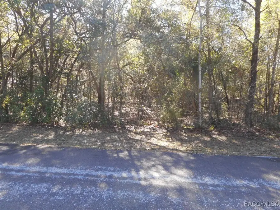 609 N Brighton Road, Lecanto, FL 34461 - #2