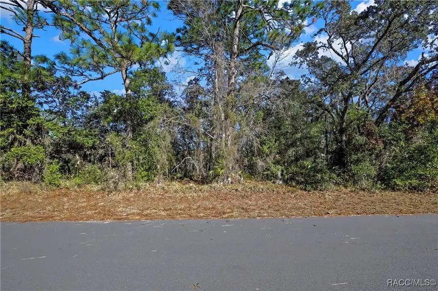 87 Cypress Circle, Homosassa, FL 34446 - #2