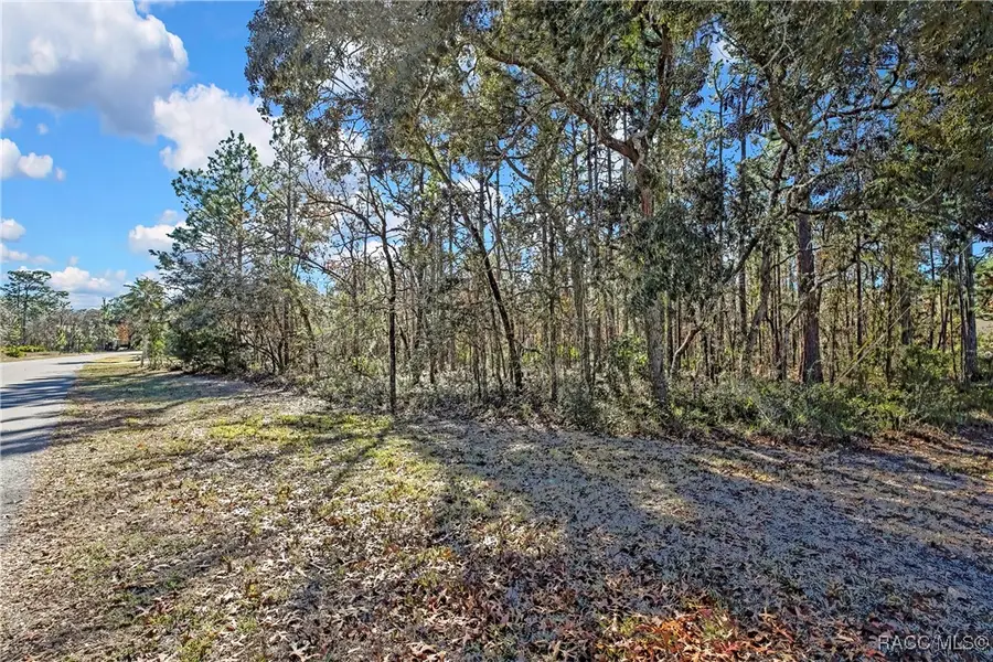 2 Portulaca Court, Homosassa, FL 34446 - Image #2