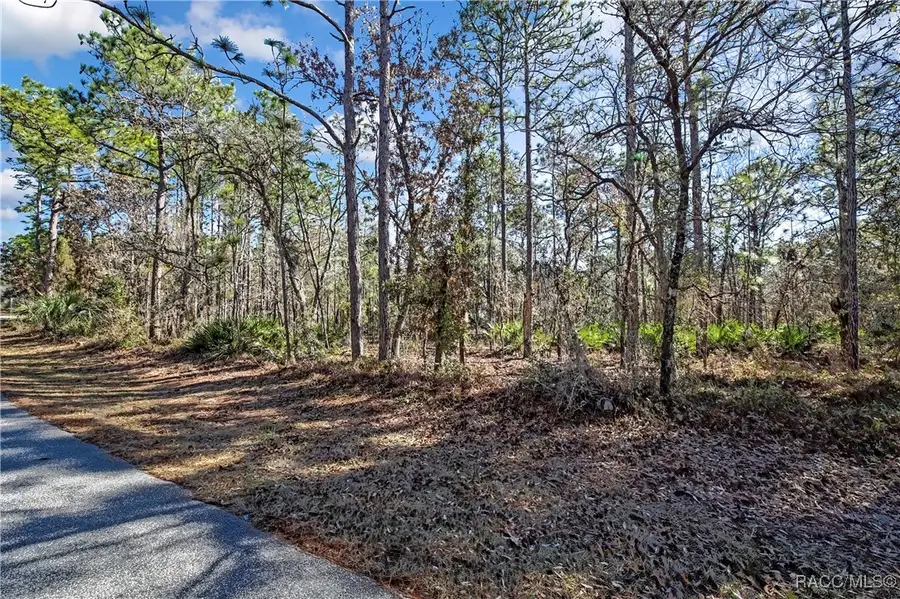 174 Daisy Street, Homosassa, FL 34446 - #2