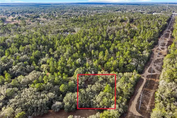 115 S Crestview Avenue, Inverness, FL 34452