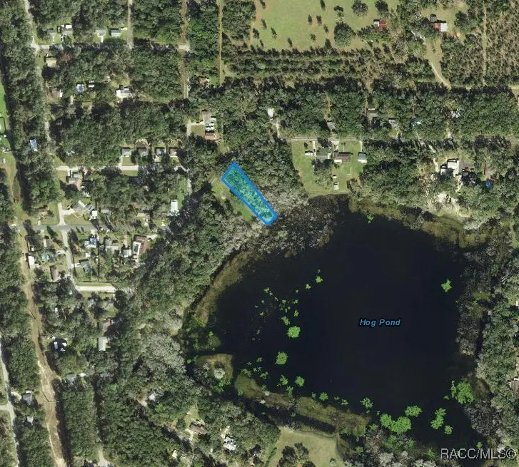 3418 E Perry Street, Inverness, FL 34453 - #2