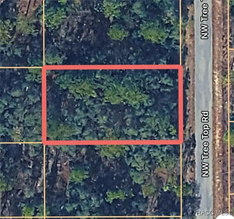 0000 NW Tree Top Unit #007 Road, Dunnellon, FL 34431 - Image #1