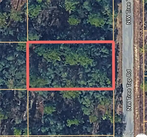 0000 NW Tree Top Unit #007 Road, Dunnellon, FL 34431