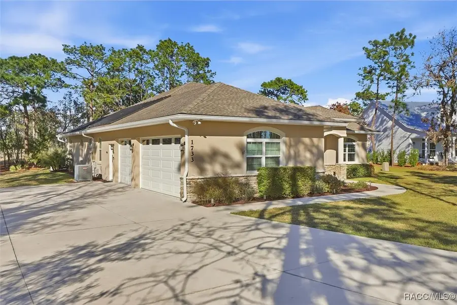 1733 County Road 243a, Wildwood, FL 34785 - #3