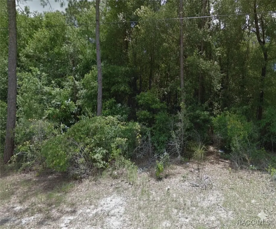 1409 Stowe Street, Inverness, FL 34450 - Image #1