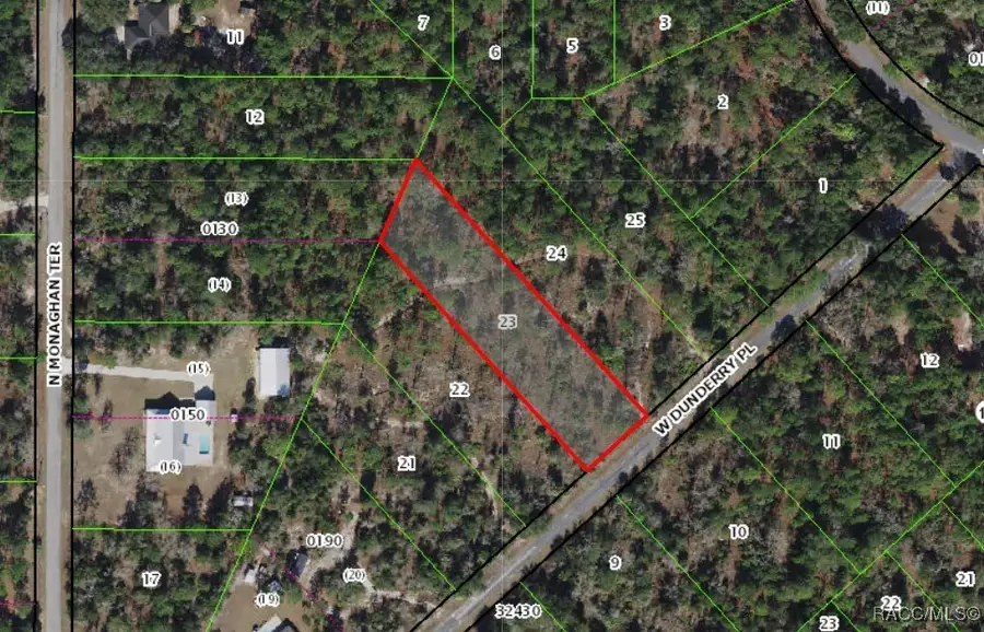 10665 W Dunderry Place, Crystal River, FL 34428 - #3